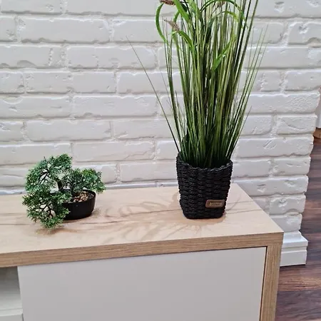 Limoni Luxury Appartement *